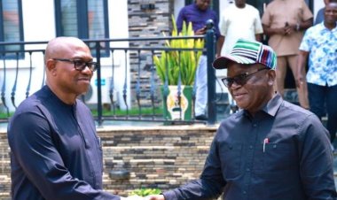 Finally, Ortom endorses Peter Obi