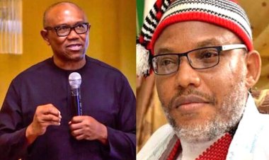 Between Peter Obi of Nigeria and Nnamdi Kanu of Biafra, by Yushau A. Shuaib