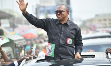 Obi Wins In Tinubu’s Campaign DG’s Polling Booth