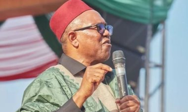 Labour Party alleges ‘massive rigging’ against Peter Obi