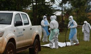 Tanzania confirms outbreak of deadly Marburg virus