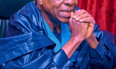 Pastoralism in Nigeria,MACBAN and Ngelzarma Changing Narratives.