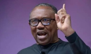 Nobody can force me out of Nigeria, says Obi