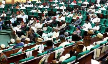 10th NASS: First Time Ever, Opposition Parties Claim Majority In Reps