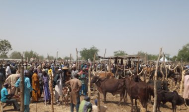 Where Islamophobia Meets Anti-Nomadism: The Struggle of the Fulani of Africa