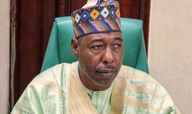 Zulum Dissolves Cabinet, Asks Perm Secs To Take Charge Of Ministries