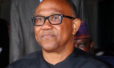 Peter Obi tenders more documents in evidence to Presidential Election Court