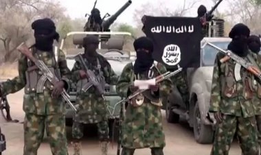 Boko Haram Slaughters 15 Villagers In Borno