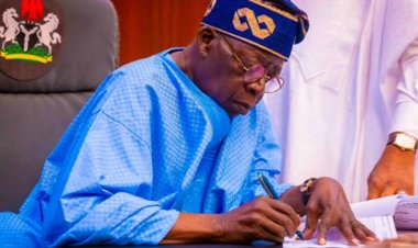 Tinubu orders return of NEMA, NAHCON to Vice-Presidents’ office