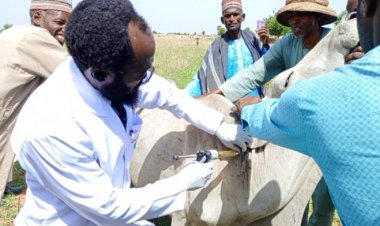 Kebbi targets 10m livestock for vaccination
