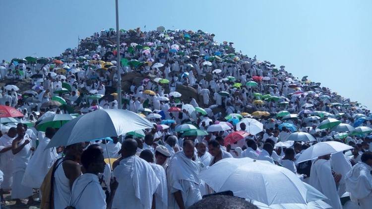 2023 Hajj: Muslims converge on plains of Arafat