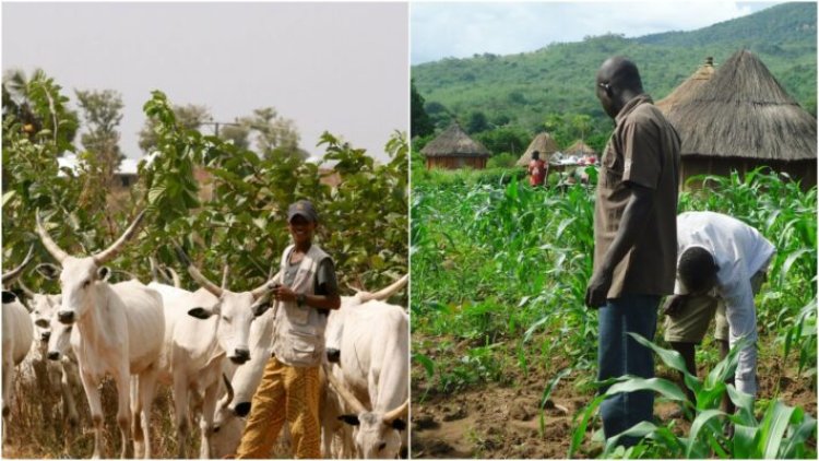 How To Minimise Farmers/Herders Crisis — FCT Council Chair