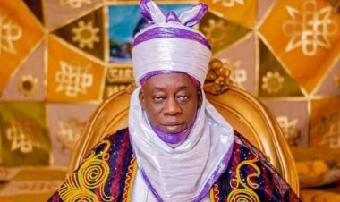 Abducted emir regains freedom