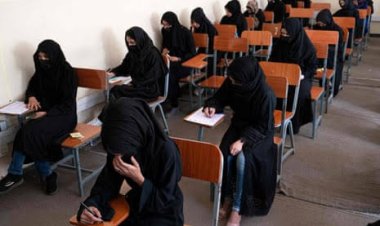Afghanistan mulls allowing female students to attend universities – Official