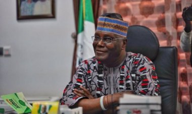 Atiku: I’m scratching my head how Tinubu earned Chicago university degree without primary, secondary education