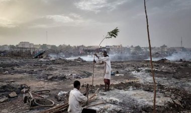 Ethnic Killings by West African Armies Are Undermining Regional Security By joining hands with militias that target Fulani civilians, state forces risk sparking a wider conflict.