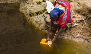 Ogun raises alarm over Cholera outbreak