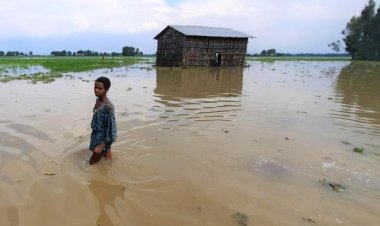 Flood Displaces 563 Persons In Adamawa