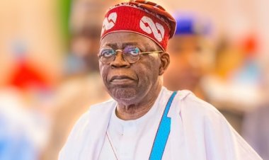 Tinubu Assures Of Economic Opportunities In Nigeria