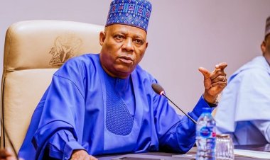 Shettima: We’re Facing Challenges