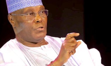 LP, NNPP Deny Merger Plan With PDP, Atiku