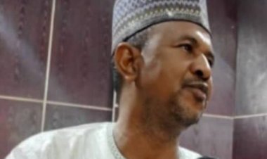 Miyetti Allah Declares National VP, Lamido, Missing