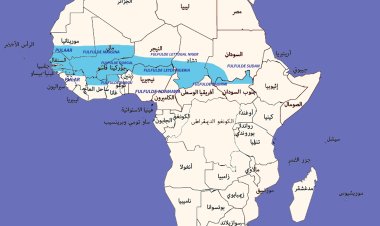How the Futafula became the R.S.F in Sudan