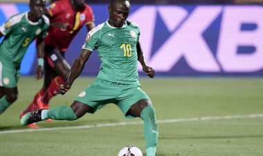 Lions Of Teranga Look To Roar Past Elephants