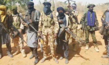 Bandits Demand N250m To Free 20 Women, 5 Children In Niger