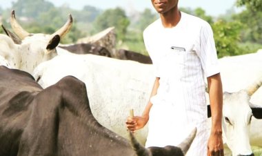 Banditry: Many Herders Are Victims But People See Them As Culprits – MACBAN