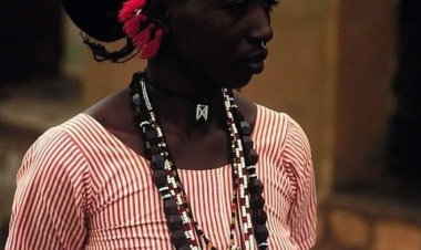 FULANI ART: Art and life in Africa.