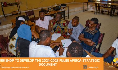 Fulbe Africa holds a Workshop on Strategic Planning Development