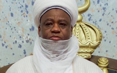 FG, Sultan okay film project on Dan Fodio’s daughter
