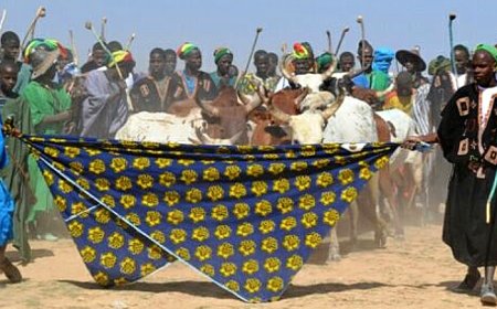 The Fulani Crossroads: A Strategy for Survival and Sovereignty in a Divided Sahel