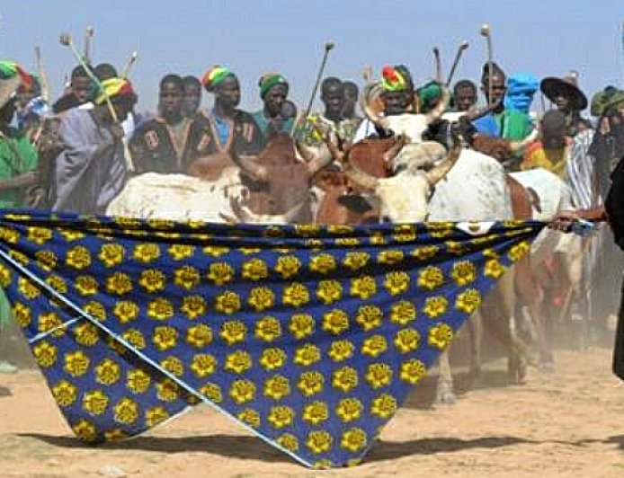 The Fulani Crossroads: A Strategy for Survival and Sovereignty in a Divided Sahel
