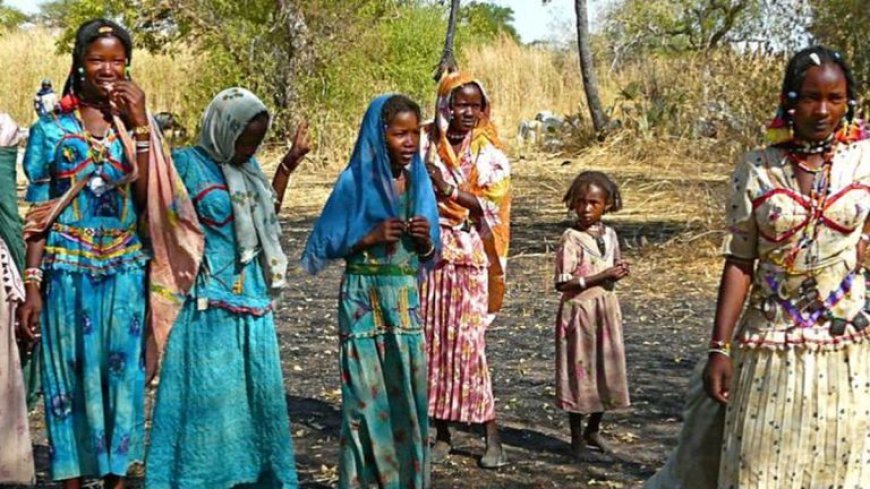 The better side of the Nigerian Fulani tribe