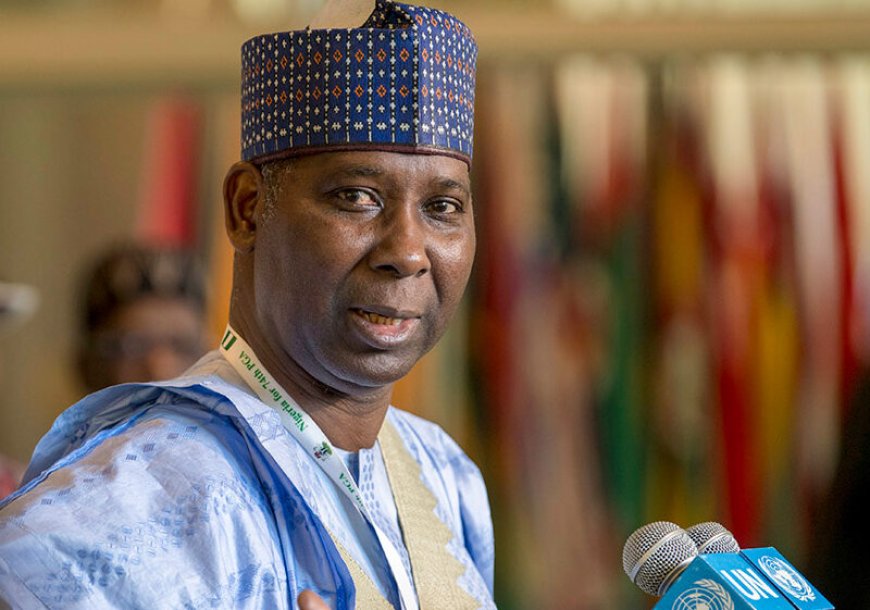 Bande to chair UDUS maiden international media conference
