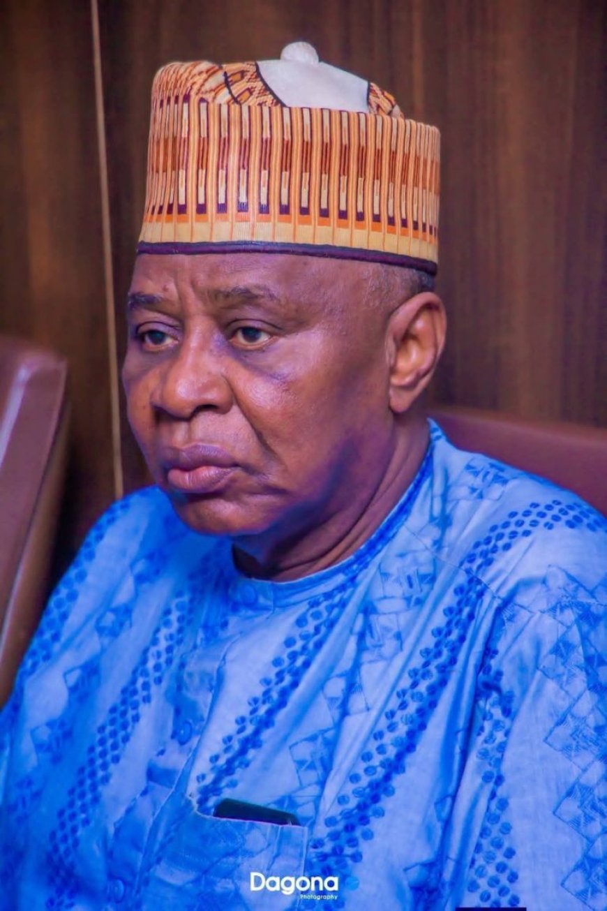 Buni Appoints Mahmud as New Emir of Ngazargamu