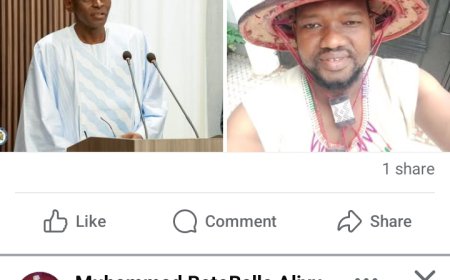 What's Alphajoe Aj jalllow said about Juldeh sowe